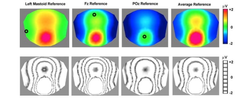 EGI 2016-8-1-D_Avg_Ref