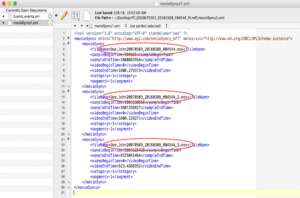 EGI movieSynchs1XML_image