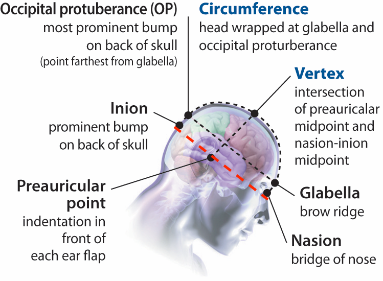 EGI skull_landmarks_sm_20121011_copy